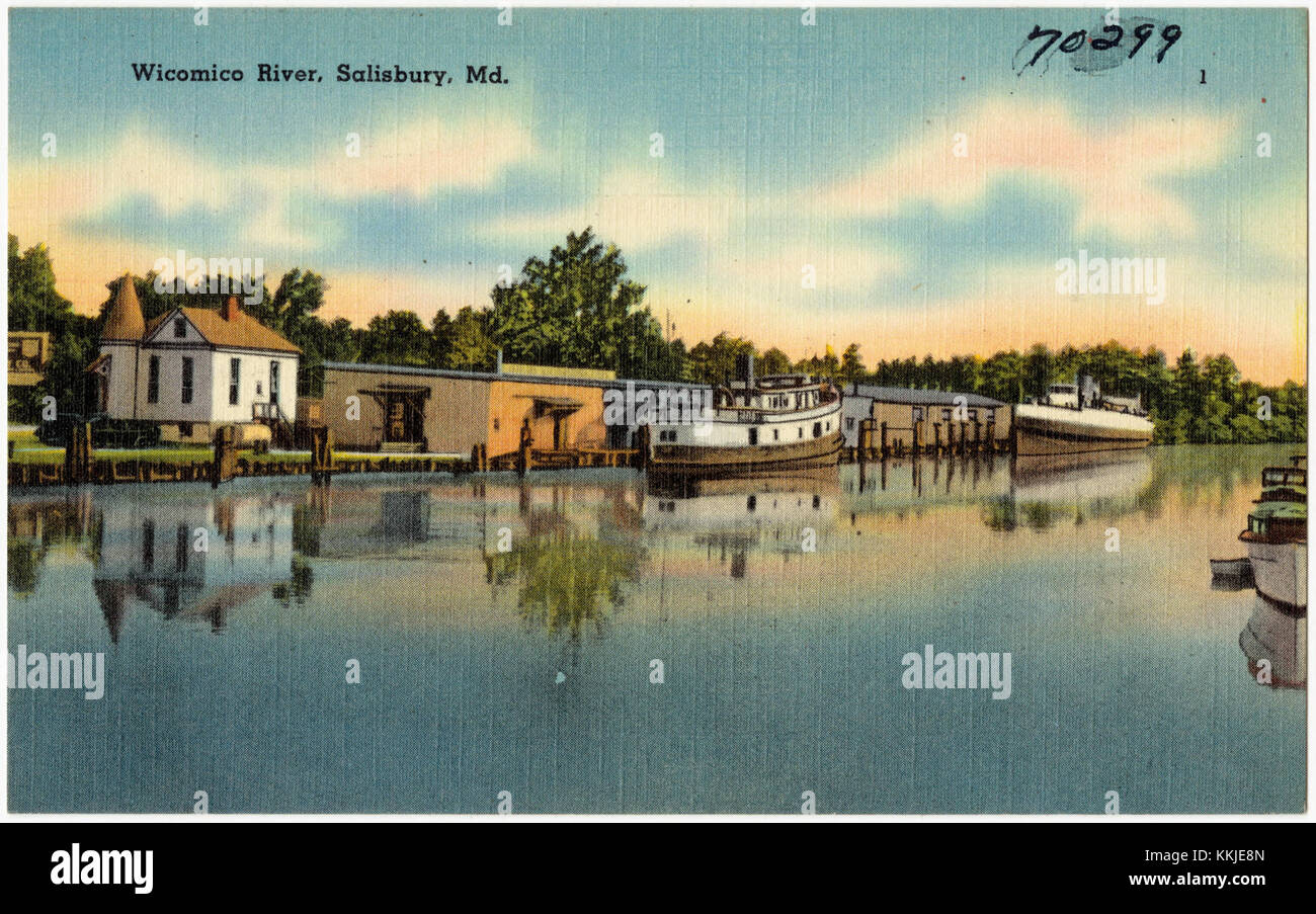 Wicomico River, Salisbury, Md (70299) Stockfoto