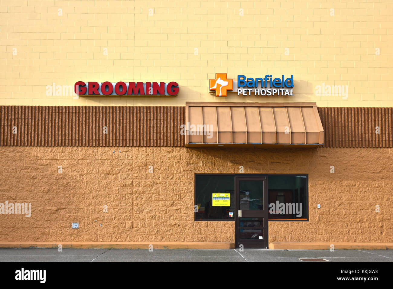 Pet hospital Fotos und Bildmaterial in hoher Auflösung Alamy