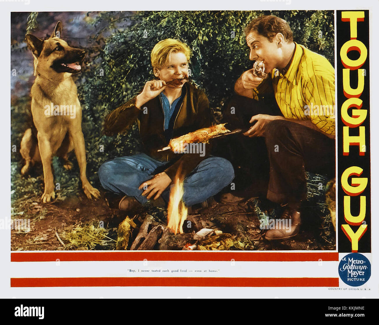 Die Foyerkarte für den Film „Tough Guy“ aus dem Jahr 1936 zeigt das Werbekunstwerk des Films, das die Themen Action und Drama betont, die in der frühen Hollywood-Ära populär waren. Stockfoto