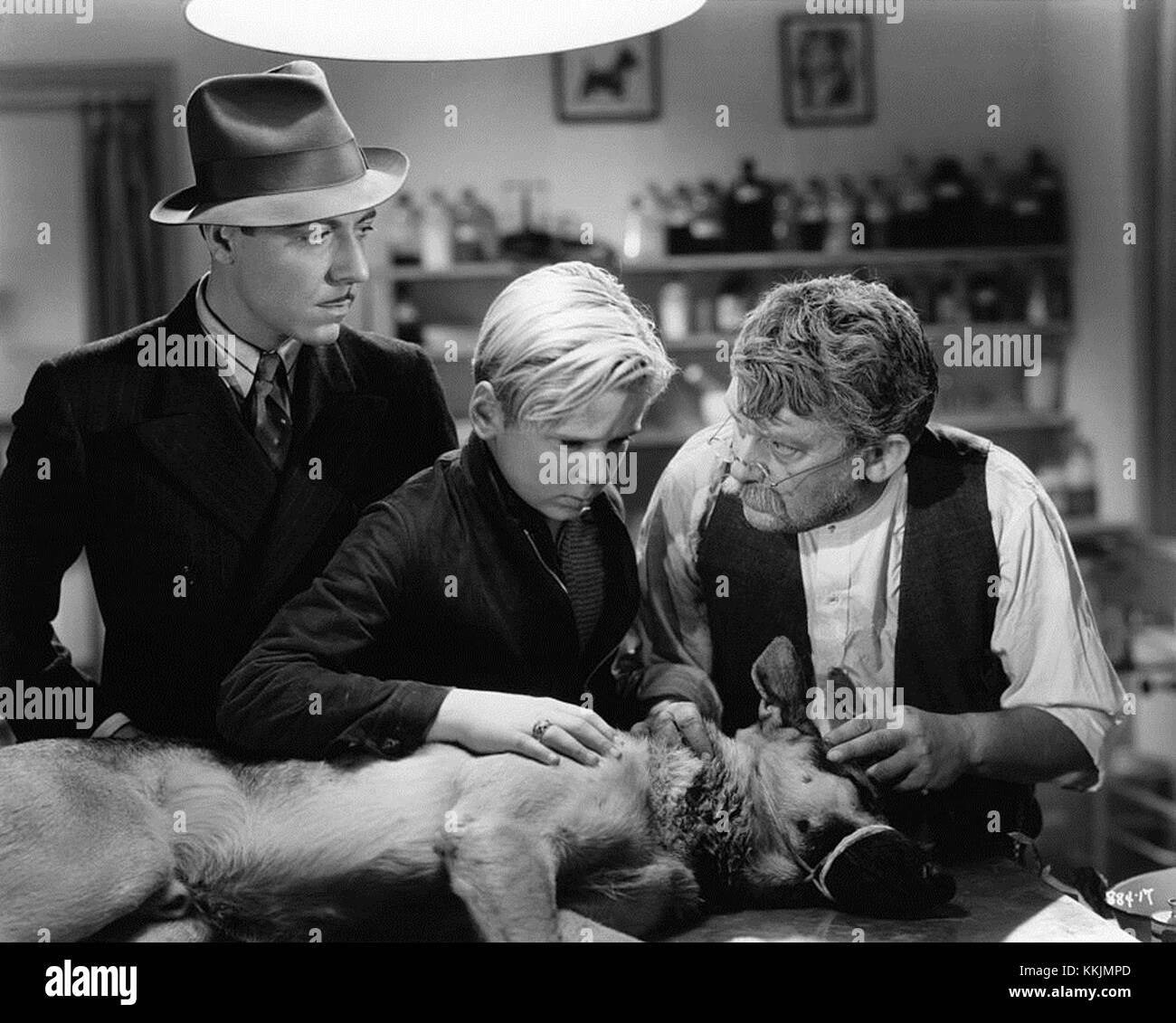 *Tough Guy* (1947) enthält eine Filmvorstellung von George Cooper und Broderick Crawford. Der Film spielt in der Nachkriegszeit und beschäftigt sich mit Themen wie Härte und Widerstandsfähigkeit, mit einem Schwerpunkt auf Kriminalität und Gerechtigkeit. Stockfoto