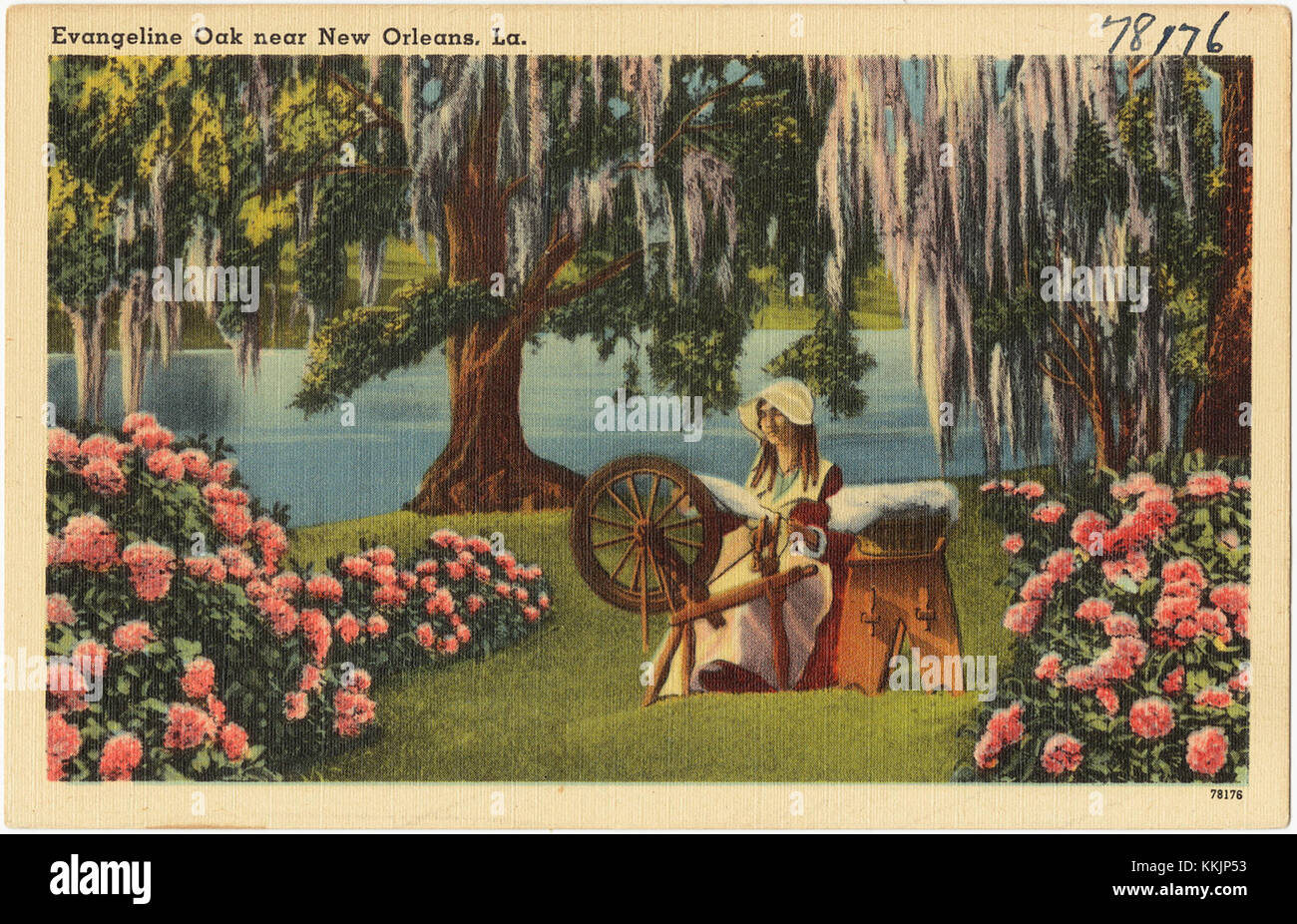 Die Evangeline Oak in der Nähe von New Orleans, Louisiana, ist ein historischer Baum, der nach der literarischen Figur Evangeline aus Longfellow's Gedicht benannt ist. Es symbolisiert die Tragödie und Geschichte des akadischen Volkes in der Region. Stockfoto