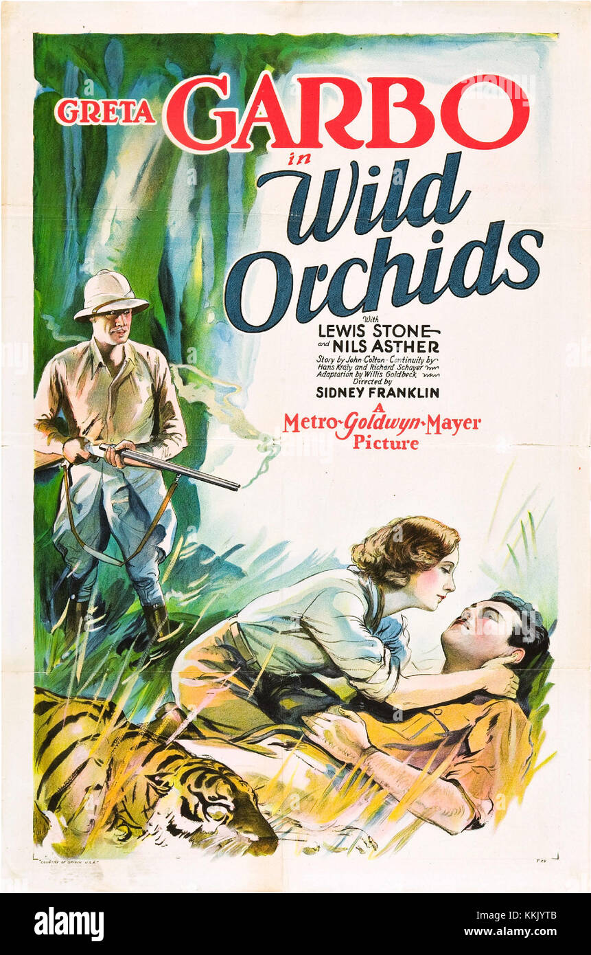 Das Poster der wilden Orchideen ist ein Werbematerial für den US-amerikanischen Film aus dem Jahr 1929, in dem die wichtigsten Themen und der visuelle Stil der filmâ vorgestellt werden. Stockfoto