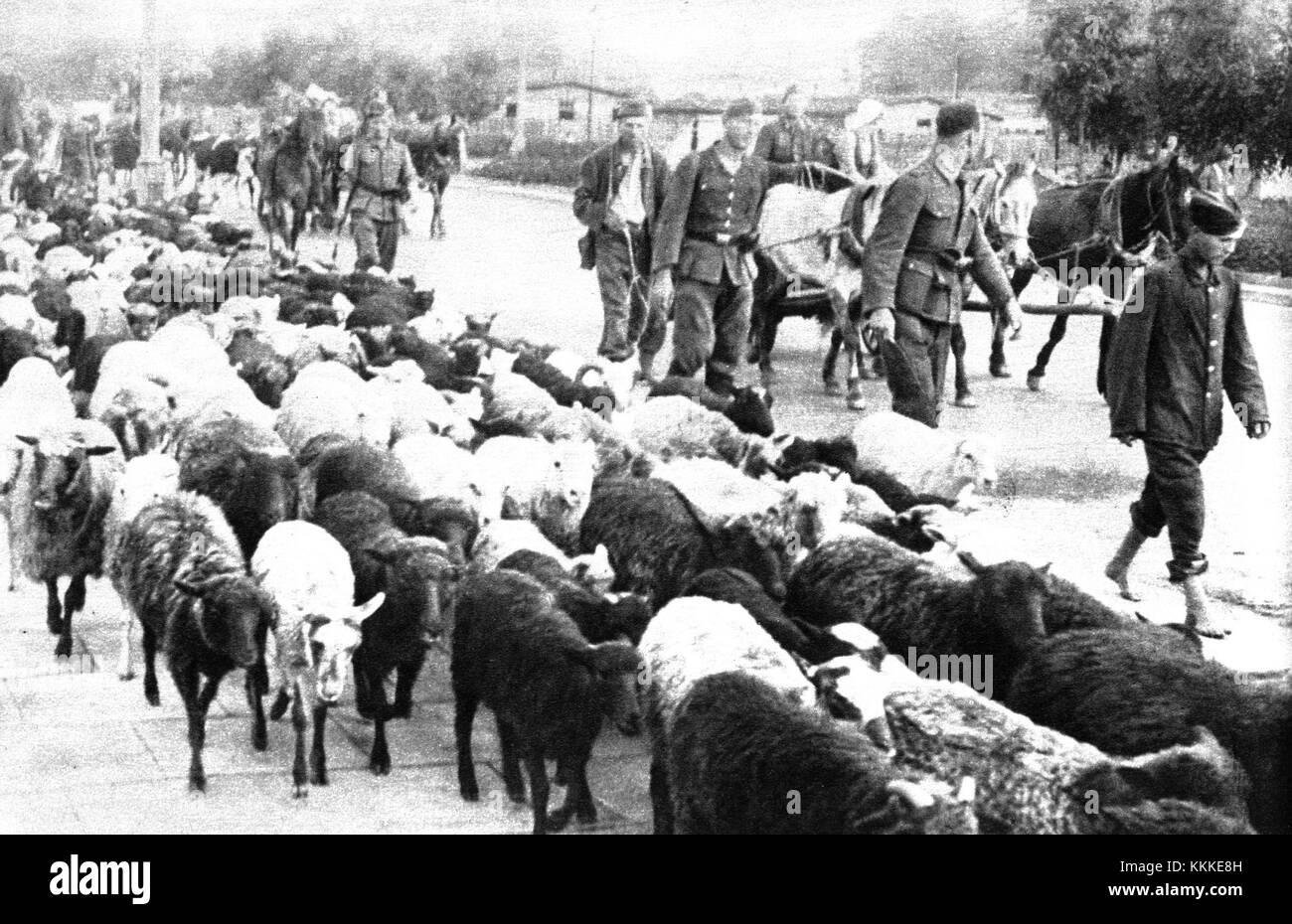 Im Juli 1944, während des Zweiten Weltkriegs, zogen sich die deutschen Truppen aus Warschau zurück, was einen entscheidenden Moment im Krieg bedeutete, als die Stadt in einen intensiven Konflikt und schließlich in die Befreiung durch die sowjetischen Streitkräfte verwickelt war. Stockfoto