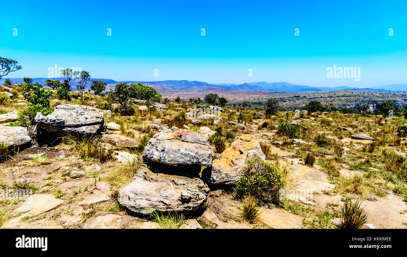 Felsen verstreuten sich auf dem Hochplateau am Blyde River Canyon entlang der Panorama Route in der südafrikanischen Provinz Mpumalanga Stockfoto