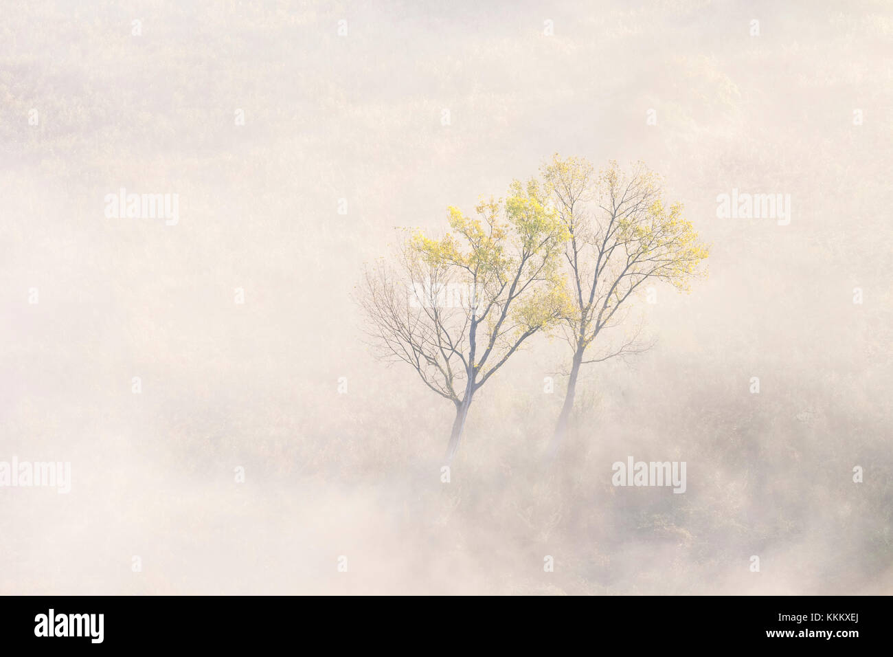 Nebel über den Fluss Adda von Airuno am Santuario Madonna della Rocchetta, Airuno, Parco dell'Adda Nord, Lecco Provinz Brianza, Lombardei, Italien gesehen Stockfoto