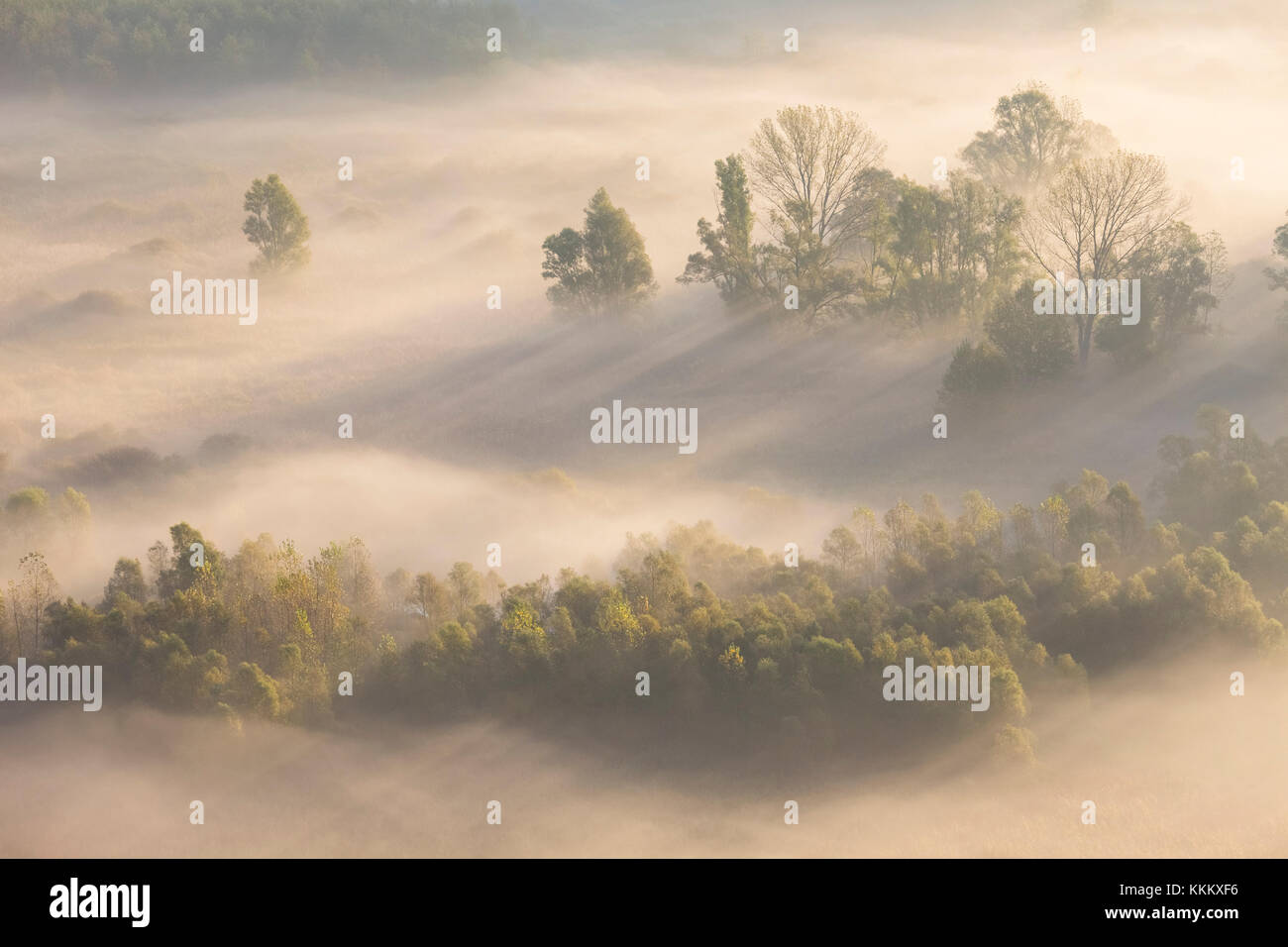 Nebel über den Fluss Adda von Airuno am Santuario Madonna della Rocchetta, Airuno, Parco dell'Adda Nord, Lecco Provinz Brianza, Lombardei, Italien gesehen Stockfoto