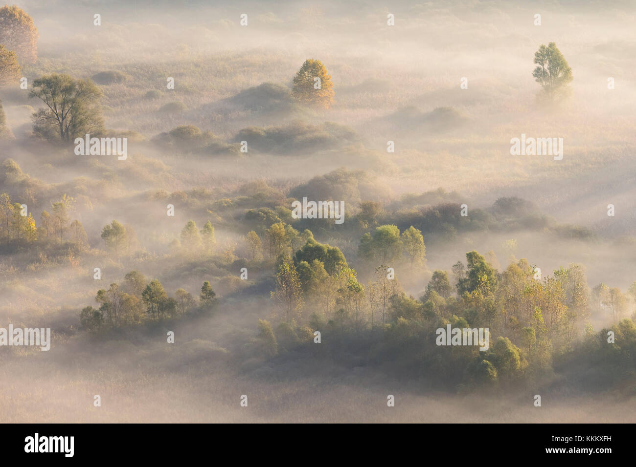 Nebel über den Fluss Adda von Airuno am Santuario Madonna della Rocchetta, Airuno, Parco dell'Adda Nord, Lecco Provinz Brianza, Lombardei, Italien gesehen Stockfoto