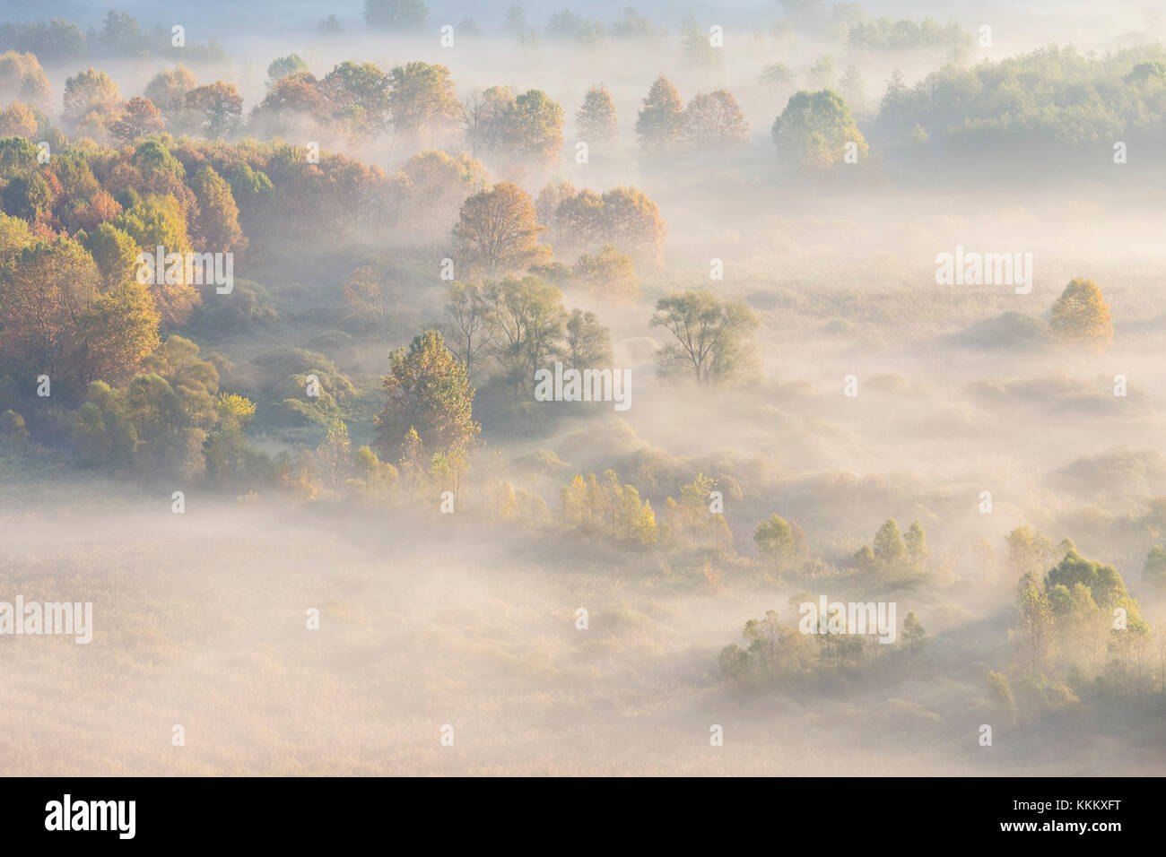 Nebel über den Fluss Adda von Airuno am Santuario Madonna della Rocchetta, Airuno, Parco dell'Adda Nord, Lecco Provinz Brianza, Lombardei, Italien gesehen Stockfoto