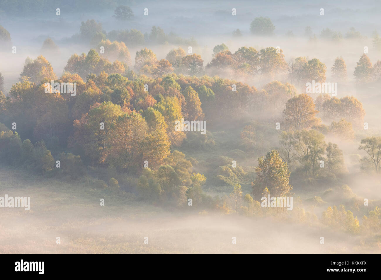 Nebel über den Fluss Adda von Airuno am Santuario Madonna della Rocchetta, Airuno, Parco dell'Adda Nord, Lecco Provinz Brianza, Lombardei, Italien gesehen Stockfoto