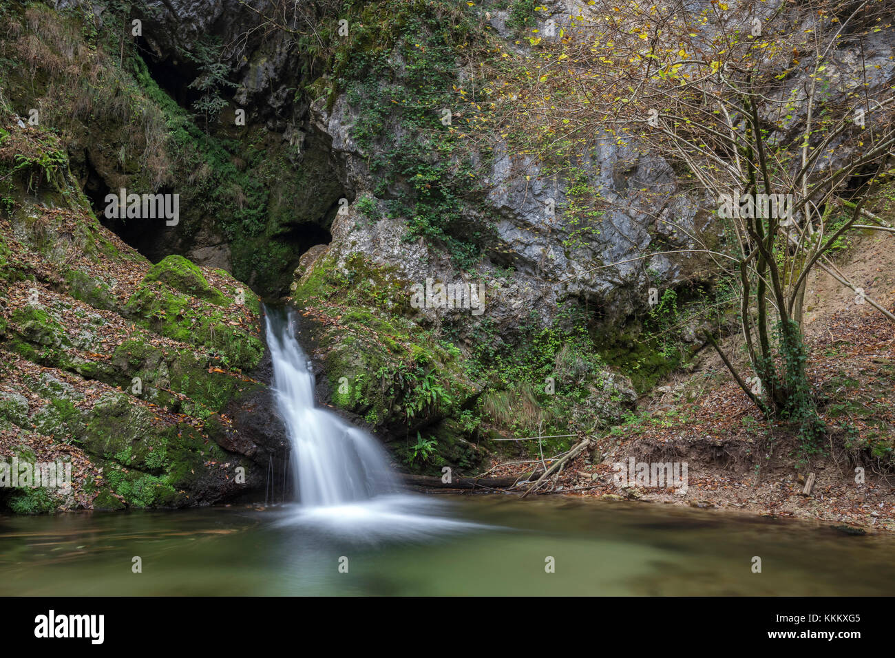 Wasserfall auf dem Rio Rancina Fluss im Herbst, masciago Primo, Parco Regionale Campo dei Fiori, Varese, Lombardei, Italien. Stockfoto