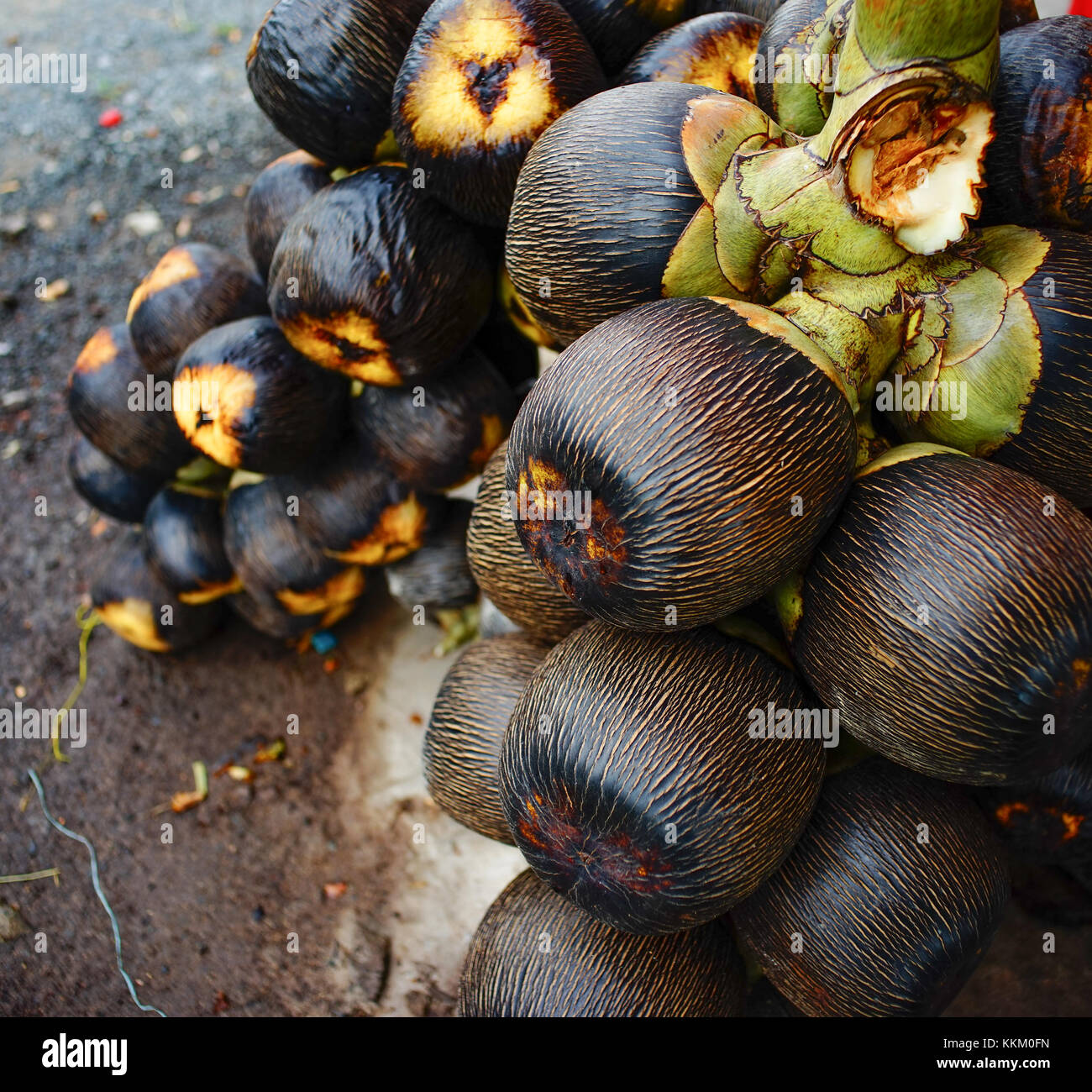 Borassus Flabellifer (Palme) Früchte zum Verkauf auf dem ländlichen Markt in Mekong Delta, Süd-Vietnam. Stockfoto