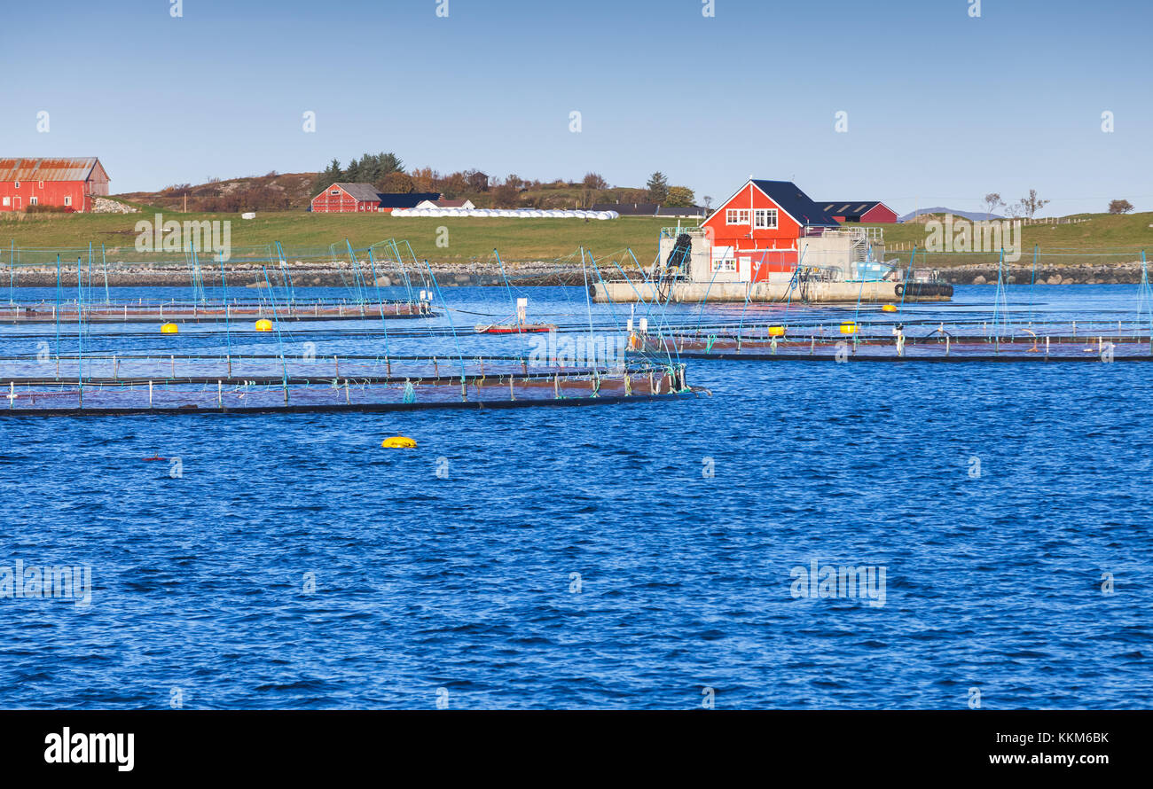 Fisch Farm für die Lachsproduktion in natürlicher Umgebung. Norwegische See Fjord, Trondheim region Stockfoto