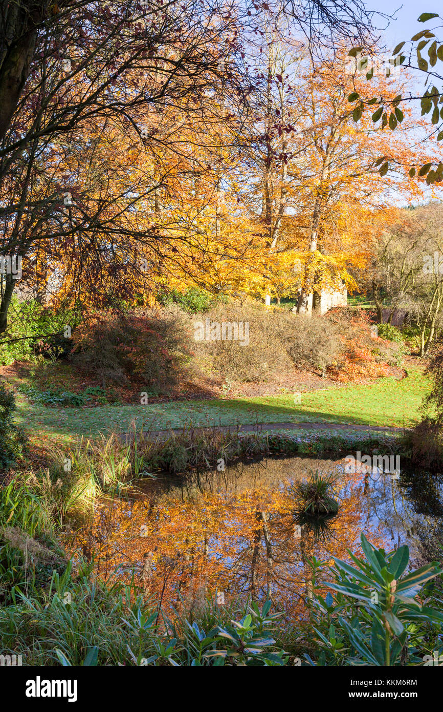 Ein Herbst morgen am Mount Grace Priory, Osten Harlsey, North Yorkshire UK Stockfoto