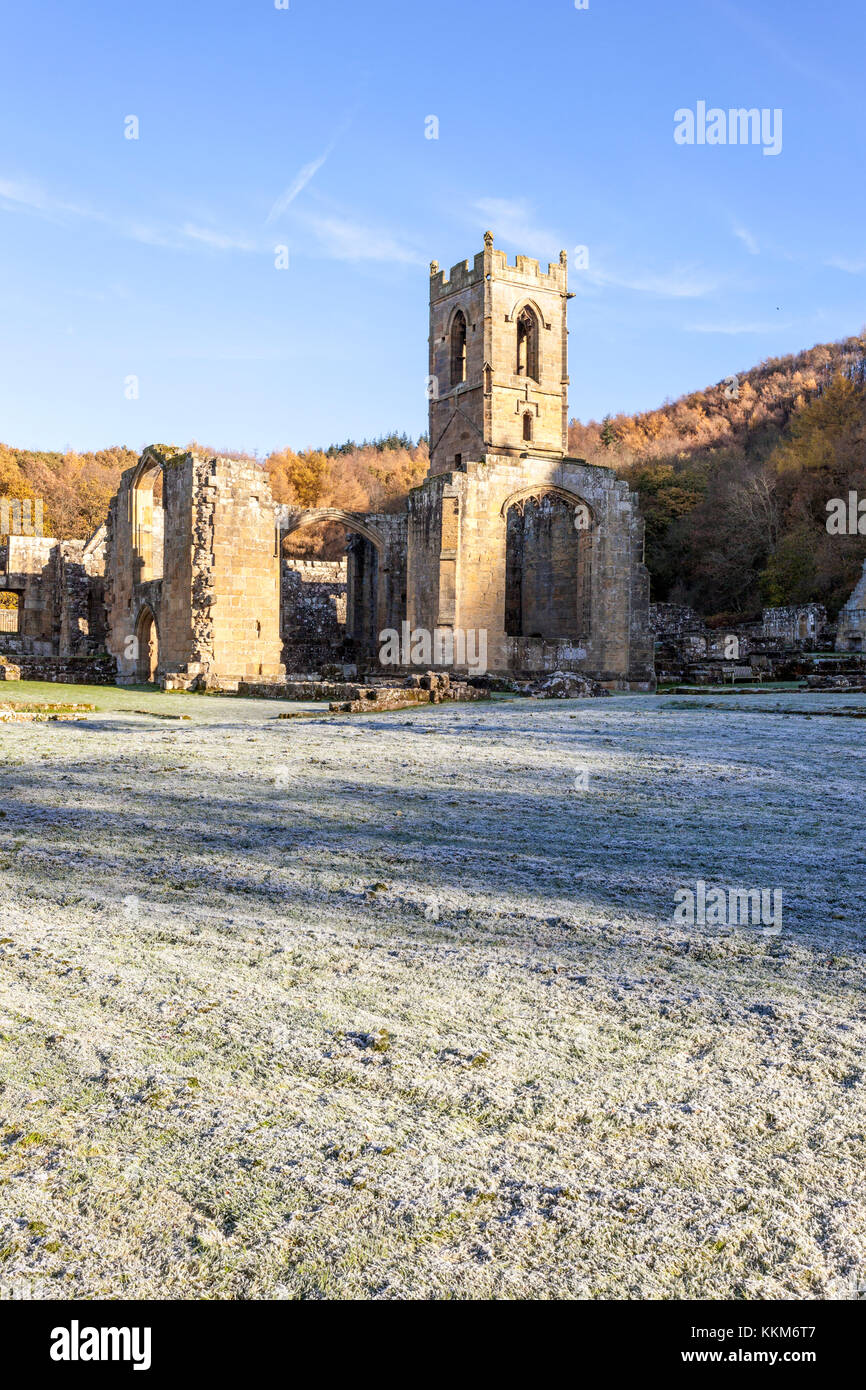 Eine frostige Herbst morgen bei den Ruinen von Mount Grace Priory, Osten Harlsey, North Yorkshire UK Stockfoto