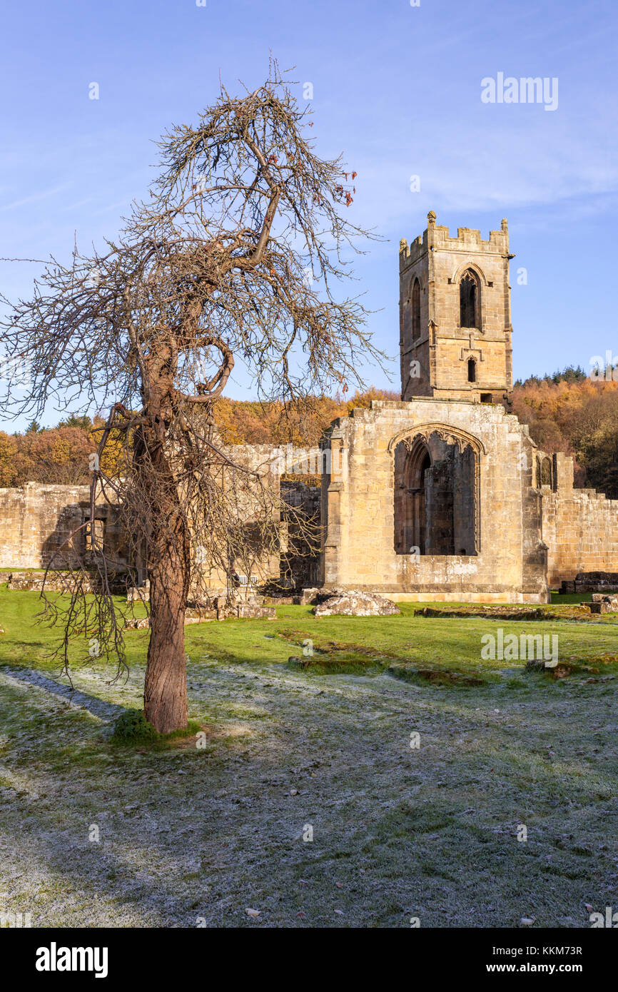 Eine frostige Herbst morgen bei den Ruinen von Mount Grace Priory, Osten Harlsey, North Yorkshire UK Stockfoto