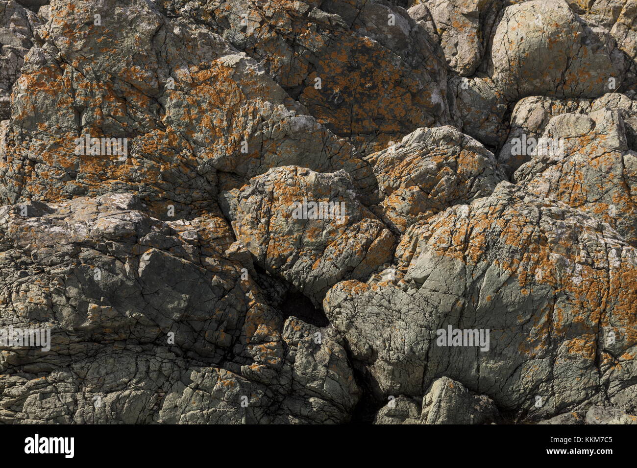 Präkambrium Pillow Laven in Vinderup, Vinderup Warren Warren und Ynys Llanddwyn NNR, Anglesey ausgesetzt. Stockfoto