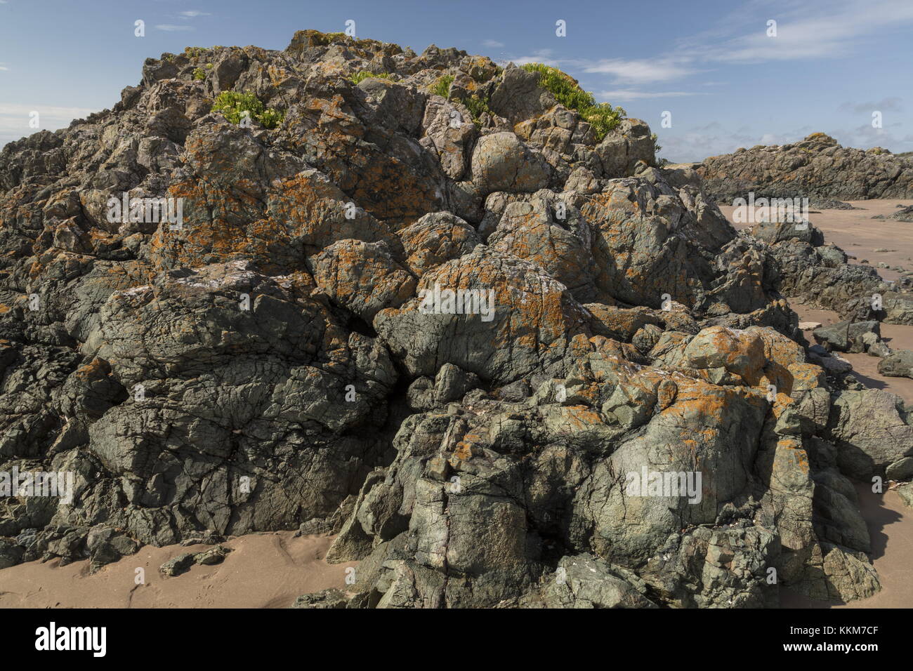 Präkambrium Pillow Laven in Vinderup, Vinderup Warren Warren und Ynys Llanddwyn NNR, Anglesey ausgesetzt. Stockfoto