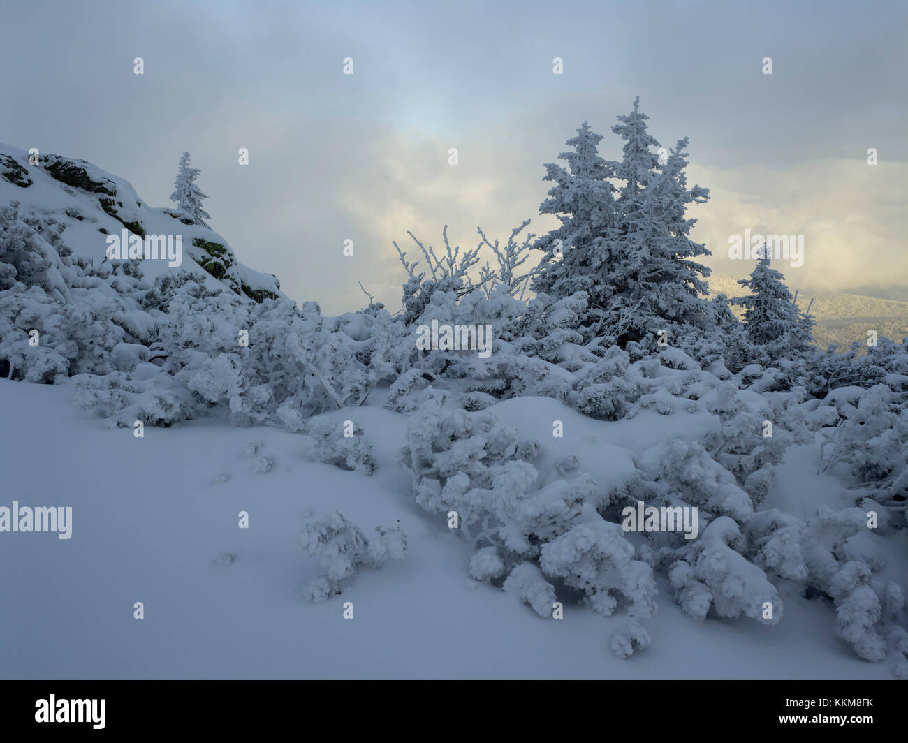 Winter in Großer Arber, Bayerischer Wald, Bayern, Deutschland, Stockfoto