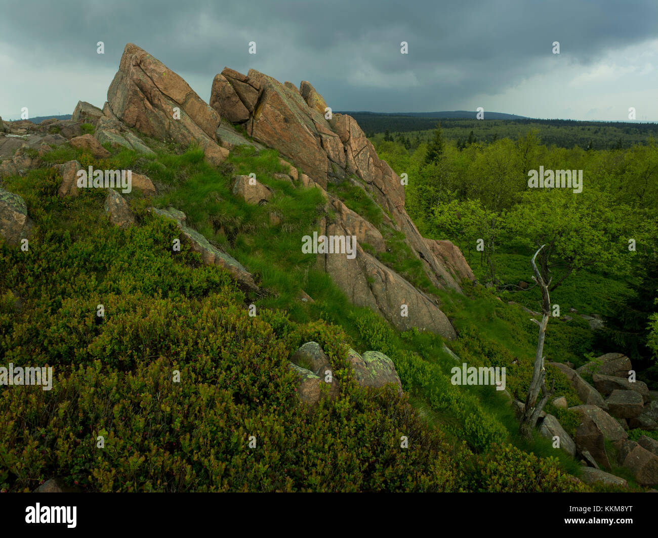 Felsen am lugstein, Erzgebirge, Sachsen, Deutschland, Stockfoto