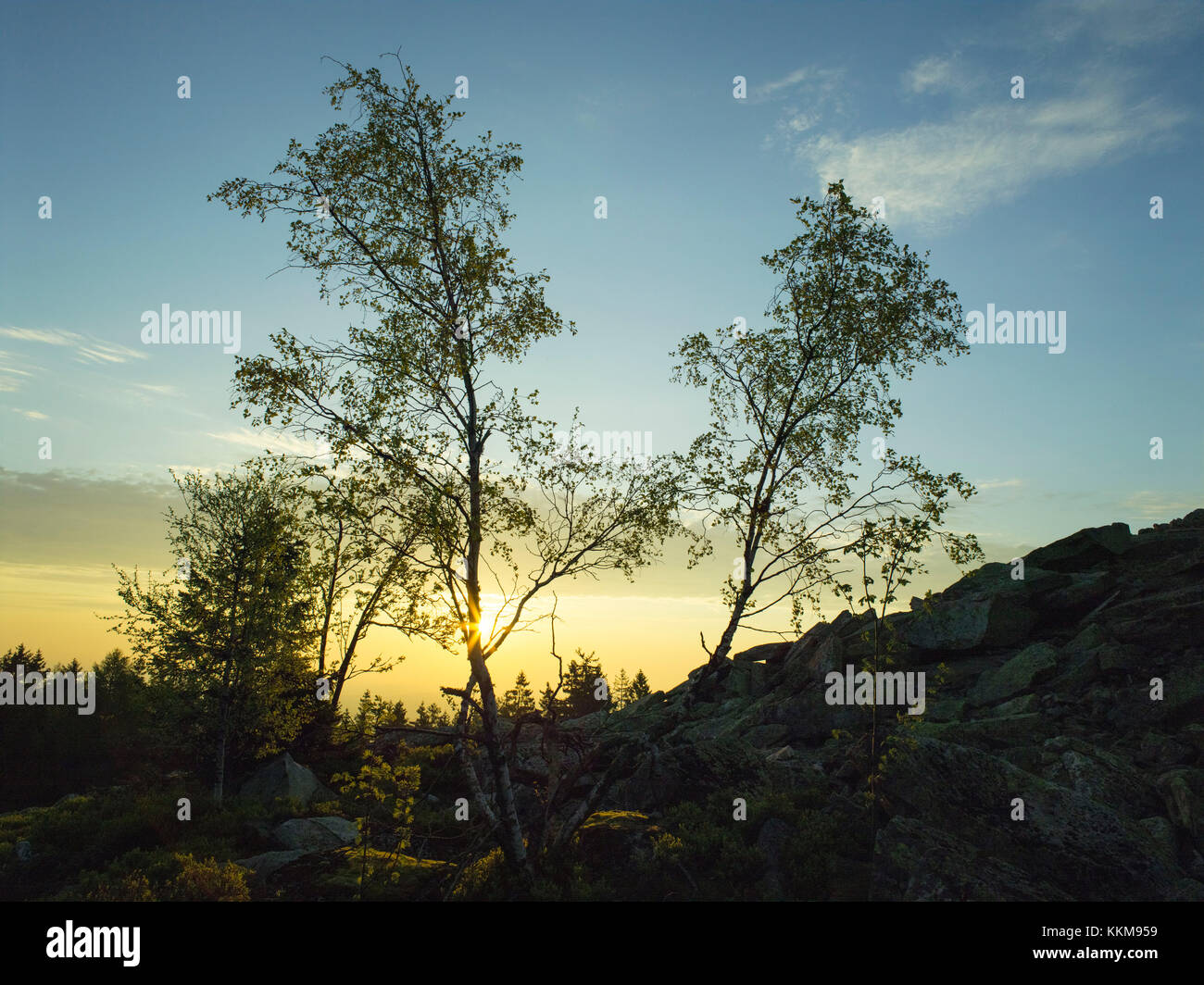 Platte im Morgenlicht, Fichtelgebirge, Bayern, Deutschland, Stockfoto