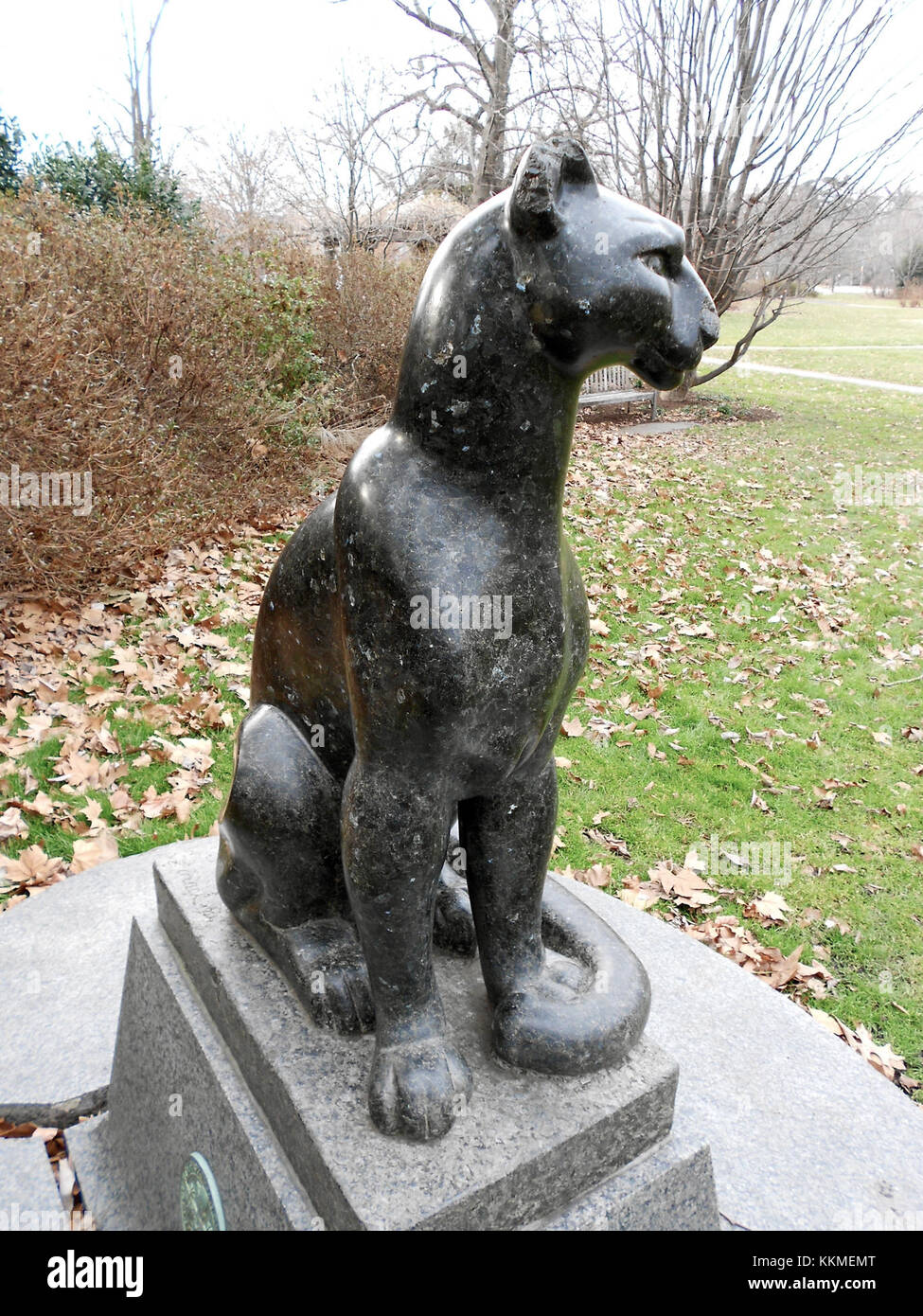 Der Puma Azalea Garden in Philadelphia ist eine beliebte Attraktion, die für ihre wunderschönen Azaleen bekannt ist, besonders während der Frühlingssaison. Es bietet lebendige Farben und ist ein ruhiger Ort für Besucher. Stockfoto