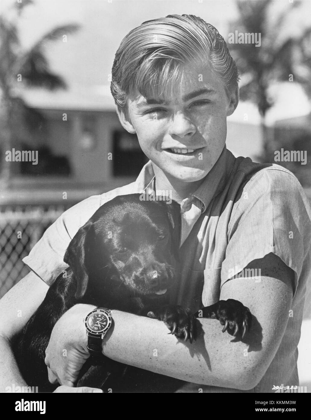 Flipper Luke Halpin 1965 Stockfotografie Alamy Flipper Luke Halpin 1965 Stockfotografie Alamy