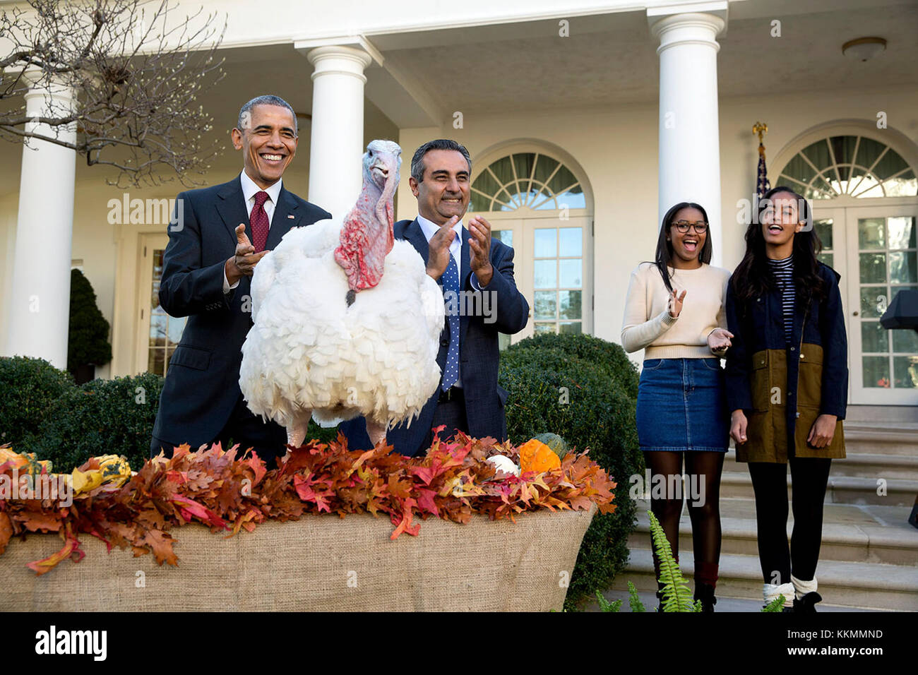 25. November 2015 "der Präsident und seine Töchter Sasha und Malia nehmen an der jährlichen National Thanksgiving Turkey Pardon Ceremony im Rosengarten mit National Turkey Federation Chairman Jihad Douglas Teil." Offizielles weißes Haus Foto von Pete Souza. Dieses offizielle Foto des Weißen Hauses wird nur zur Veröffentlichung durch Nachrichtenorganisationen und/oder zum persönlichen Druck durch die Betreffzeile(en) des Fotos zur Verfügung gestellt. Das Foto darf in keiner Weise manipuliert werden und darf nicht in kommerziellen oder politischen Materialien, Werbung, E-Mails, Produkten oder Werbeaktionen verwendet werden. Stockfoto