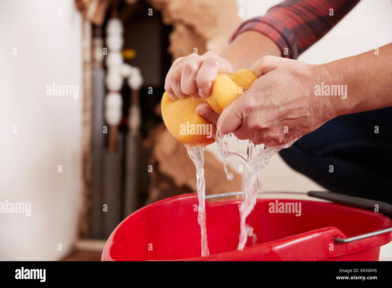Frau ansprengen Wasser aus einem Schwamm in einen Eimer, Detail Stockfoto