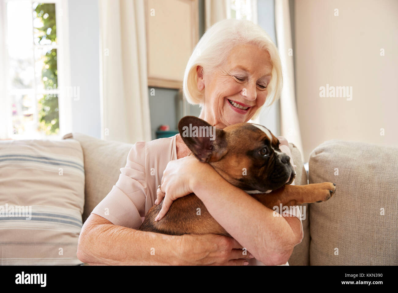 Ältere Frau sitzt auf einem Sofa zu Hause mit Pet-Französische Bulldogge Stockfoto