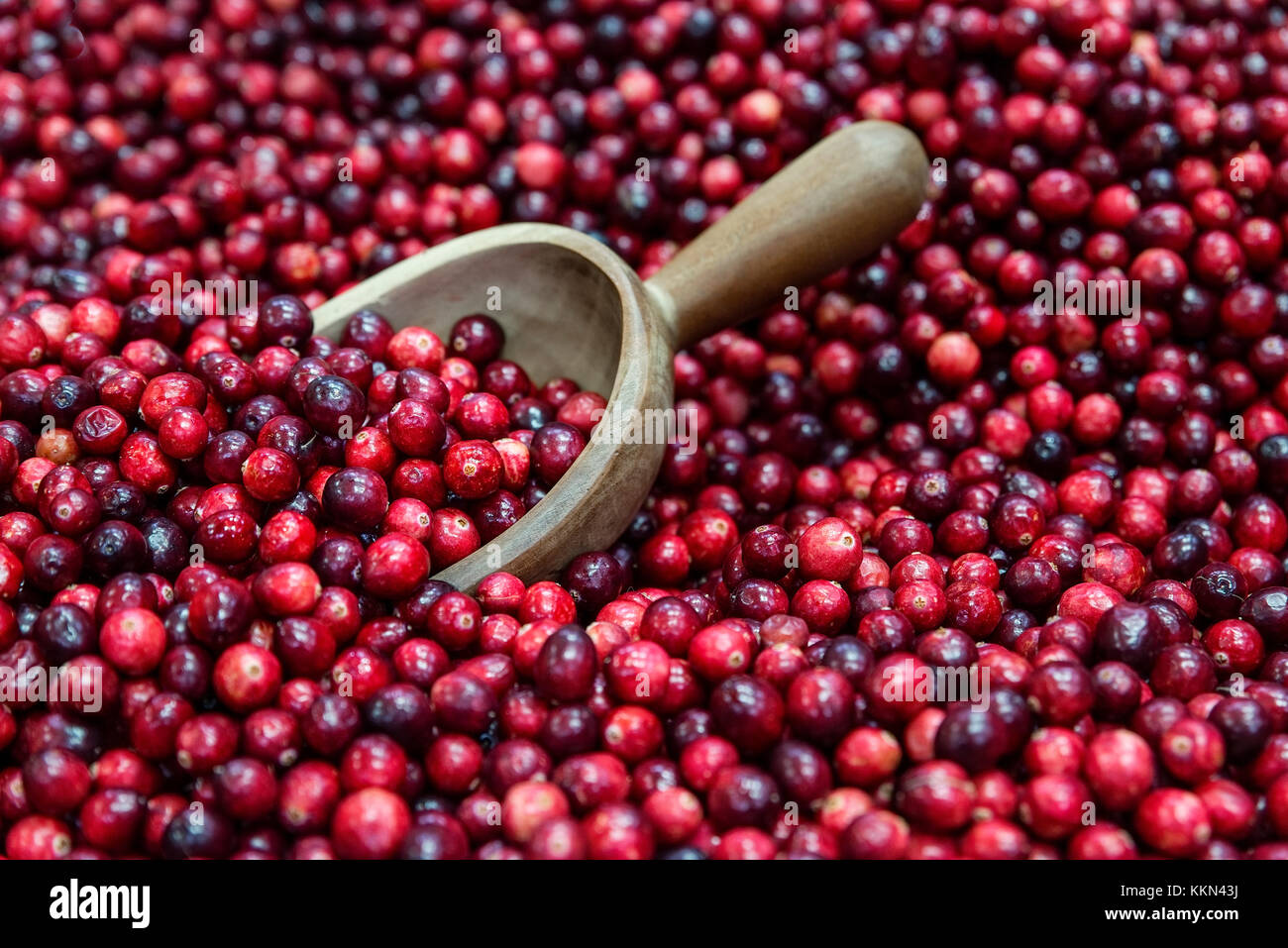 Frische Cranberries in einem Markt. Stockfoto
