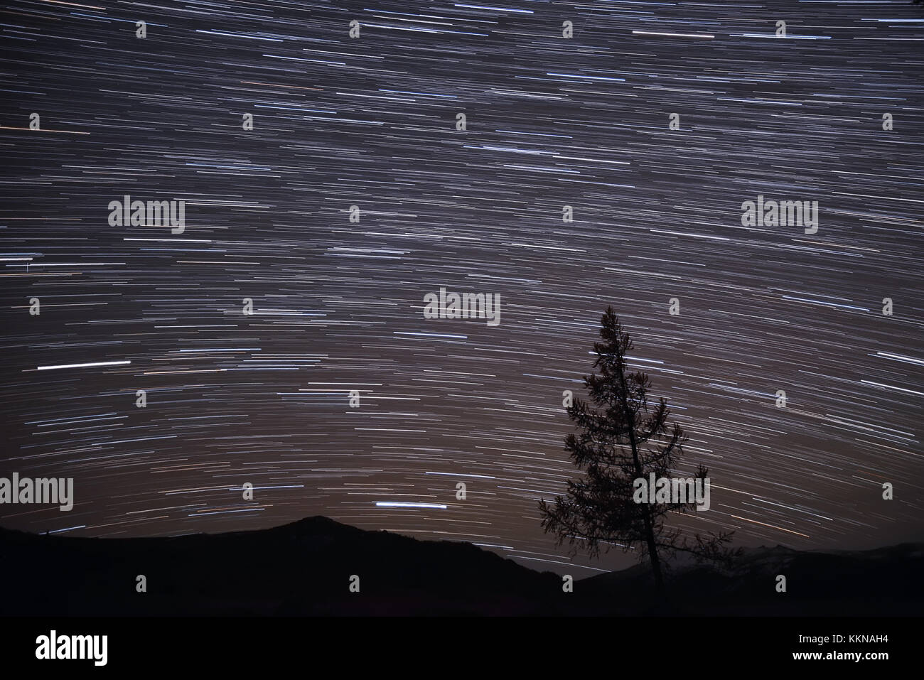Schöne Nacht Panorama der Sternenhimmel mit Spuren von Sternen in der Form von Titel und auf dem Hintergrund der Umrisse der Berge Fichte Stockfoto