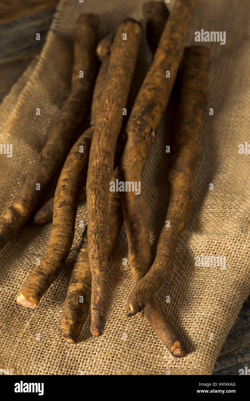 Raw Brown Organic Klettenwurzel auf sackleinen Stockfoto
