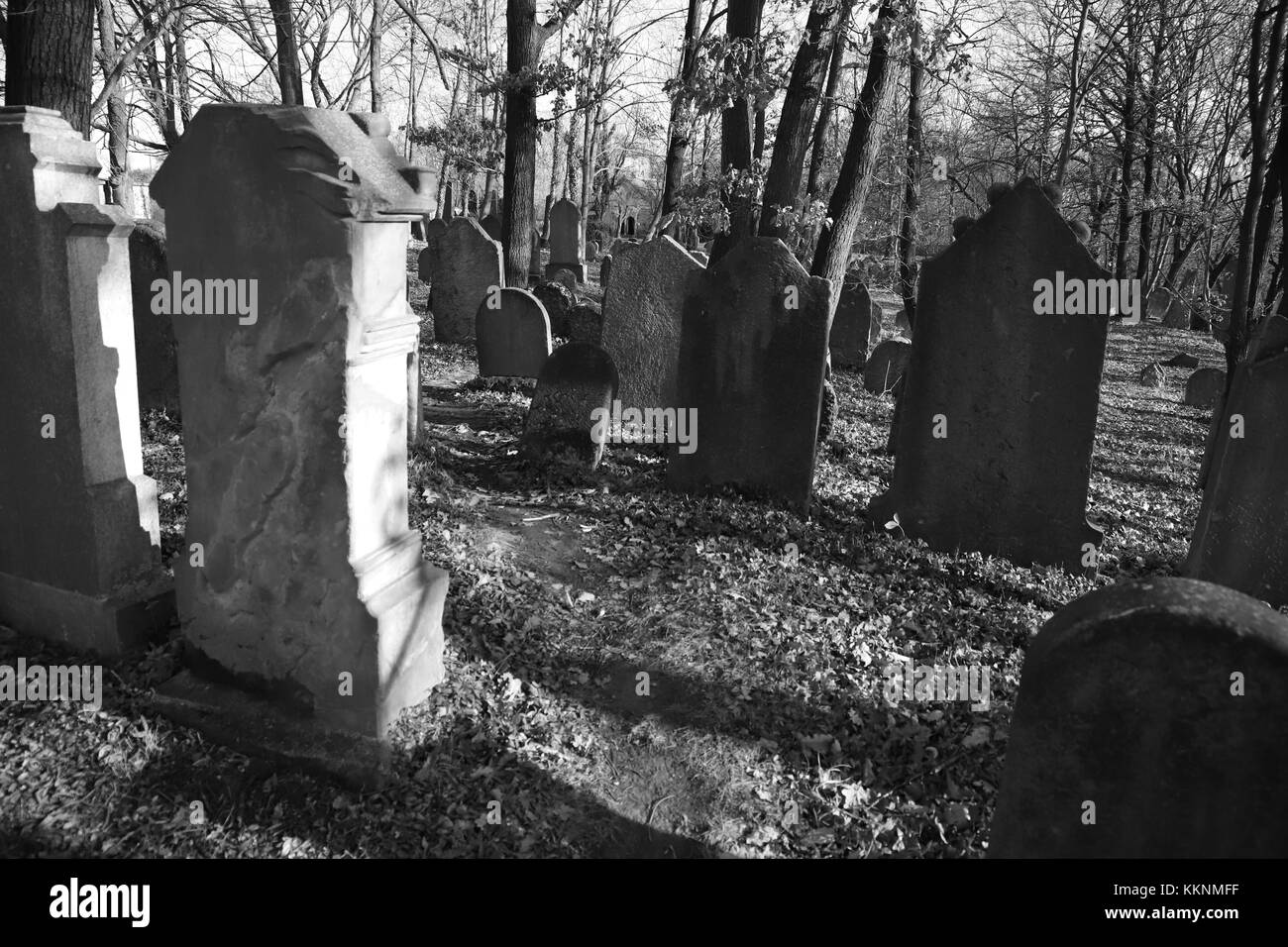 Alter jüdischer Friedhof Stockfoto