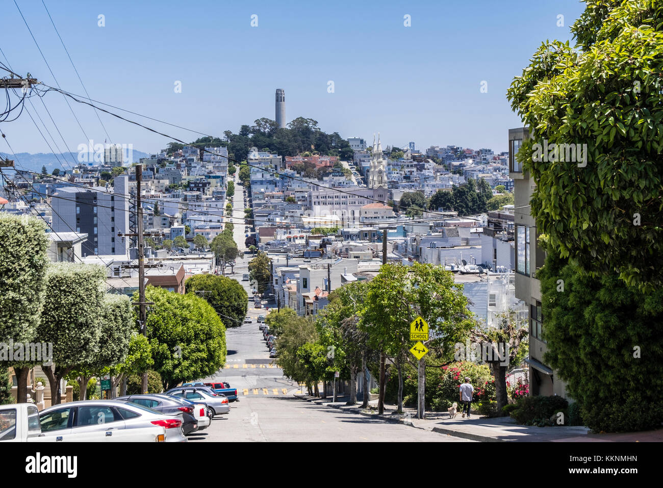 Anblick der Lombard Street, Nob Hill, San Francisco, Kalifornien, USA Stockfoto