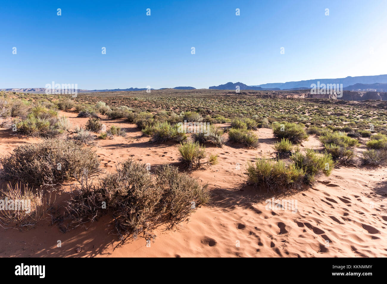 Wüste Landschaft, Horseshoe Bend, Page, Arizona, USA Stockfoto