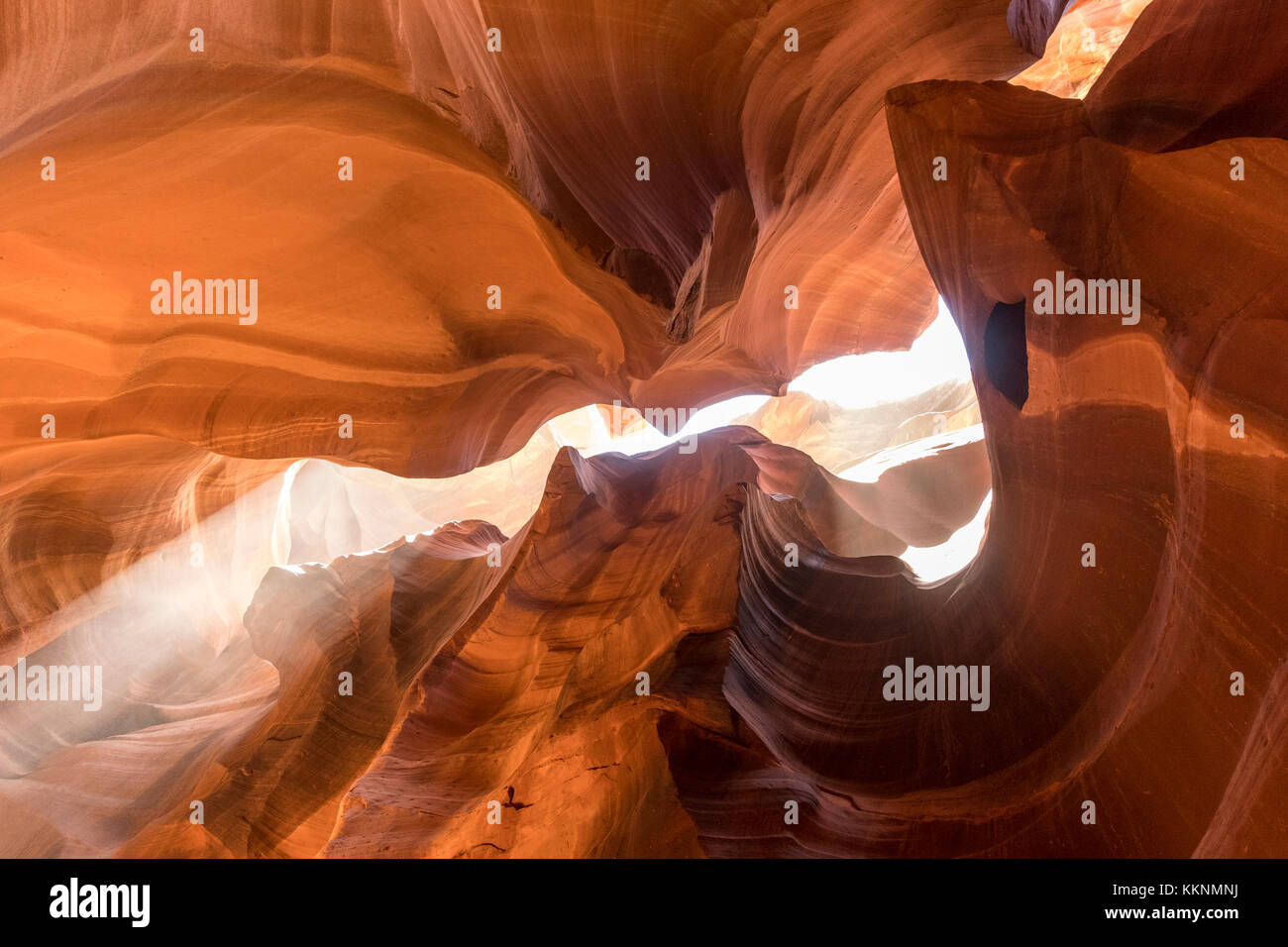 Sandsteinwände, Upper Antelope Canyon, Page, Arizona, USA Stockfoto