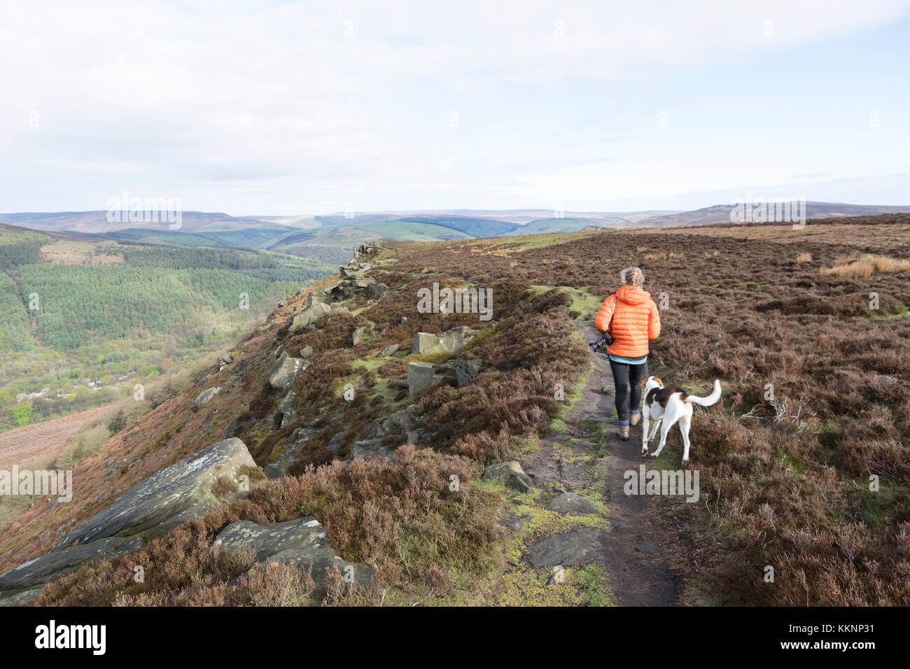Bamford Kante, Wanderer auf dem Sandstein Klippen entlang Bamford Kante. Stockfoto