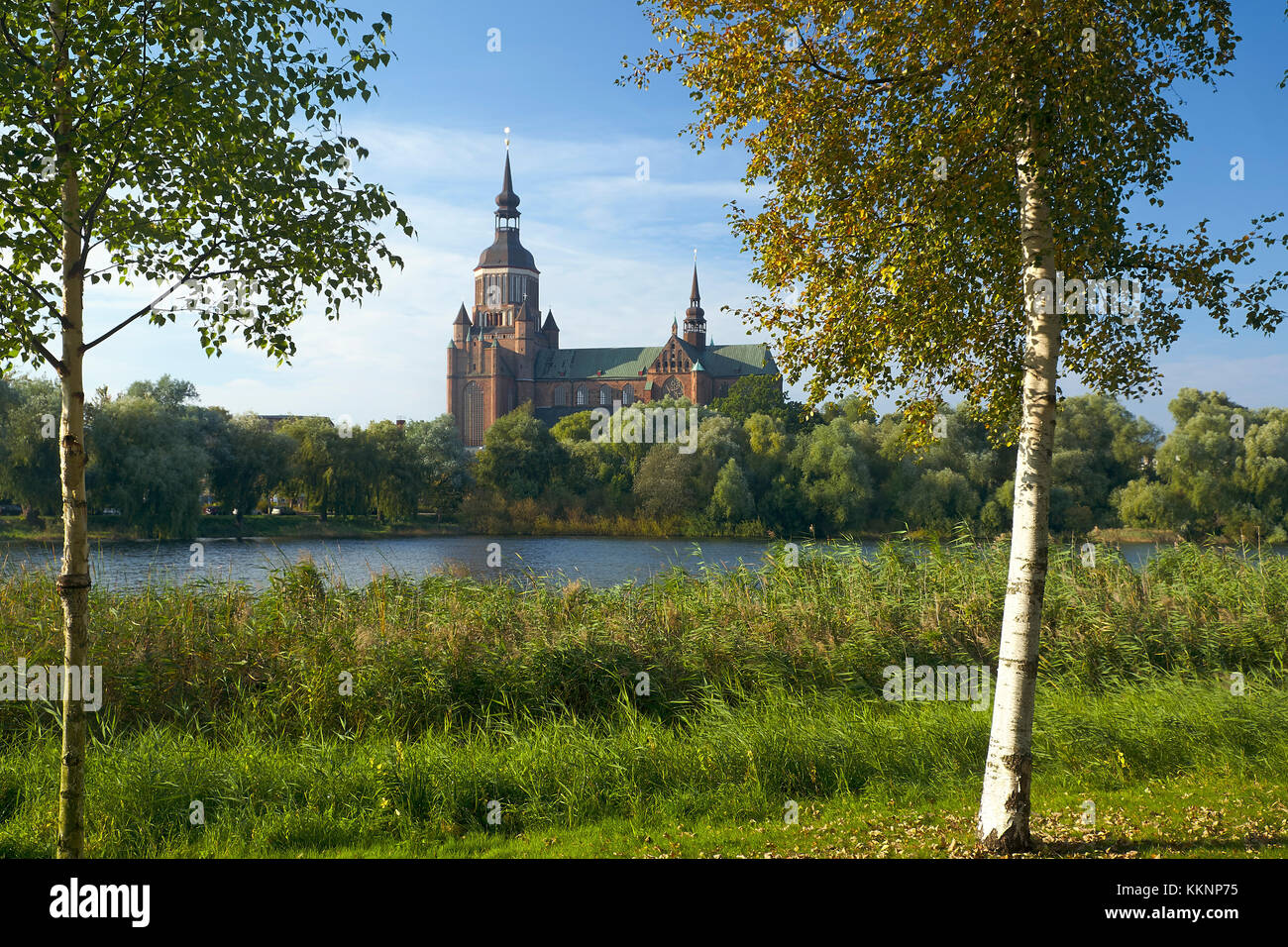 Frankteich Teich mit Blick auf die Marys Kirche, Stralsund, Mecklenburg-Vorpommern, Deutschland Stockfoto