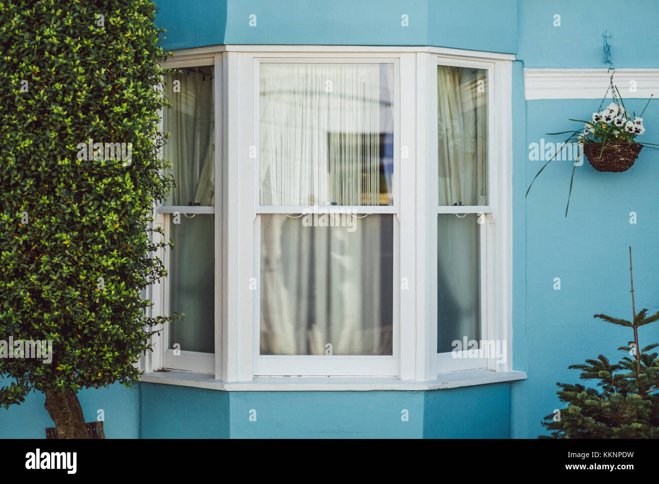 Typische Fenster mit blauen Wand, Brighton, England Stockfoto