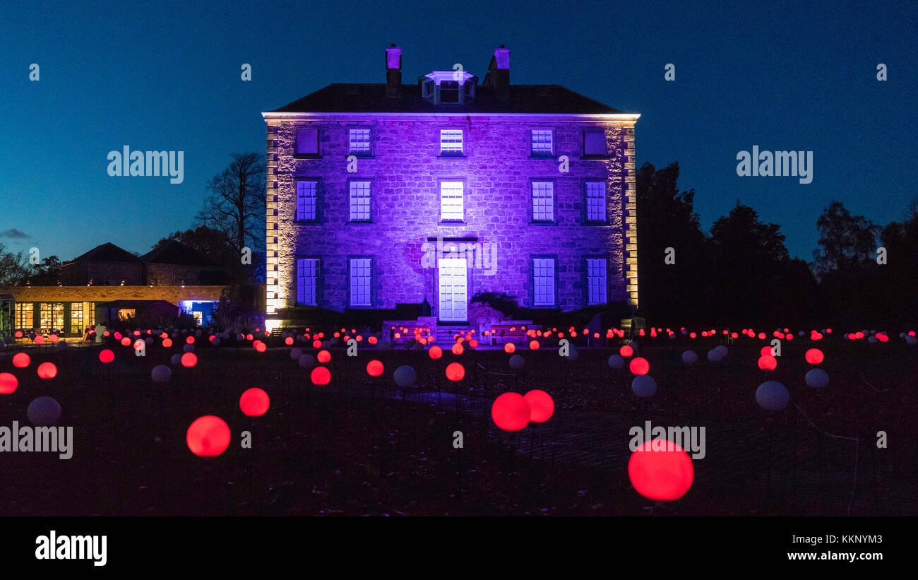 Weihnachten bei den Botanics, die im Royal Botanic Gardens in Edinburgh im Vorfeld von Weihnachten, Schottland, Stockfoto