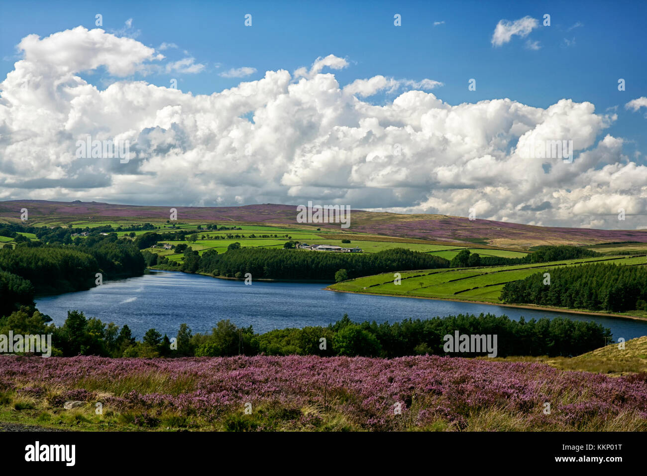 Thruscross Reservoir, im malerischen Washburn Valley, Nidderdale, North Yorkshire, eingerahmt von Heidemoorland an einem schönen Sommertag. Stockfoto