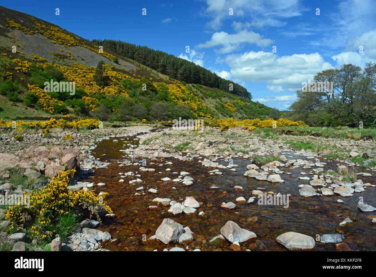 Harthope Tal, Northumberland Stockfoto