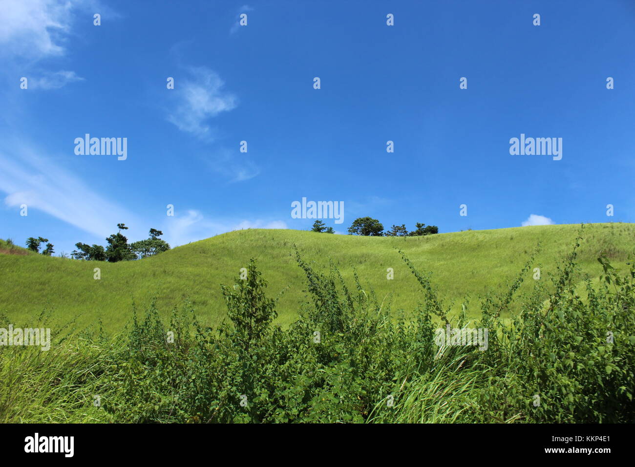 Die süssen Tag. Hari Yang indah Hari Yang penuh berkah. in syaa Allah. semoga harimu menyenangkan, semoga harimu penuh dengan barakallah kecintaan. Stockfoto