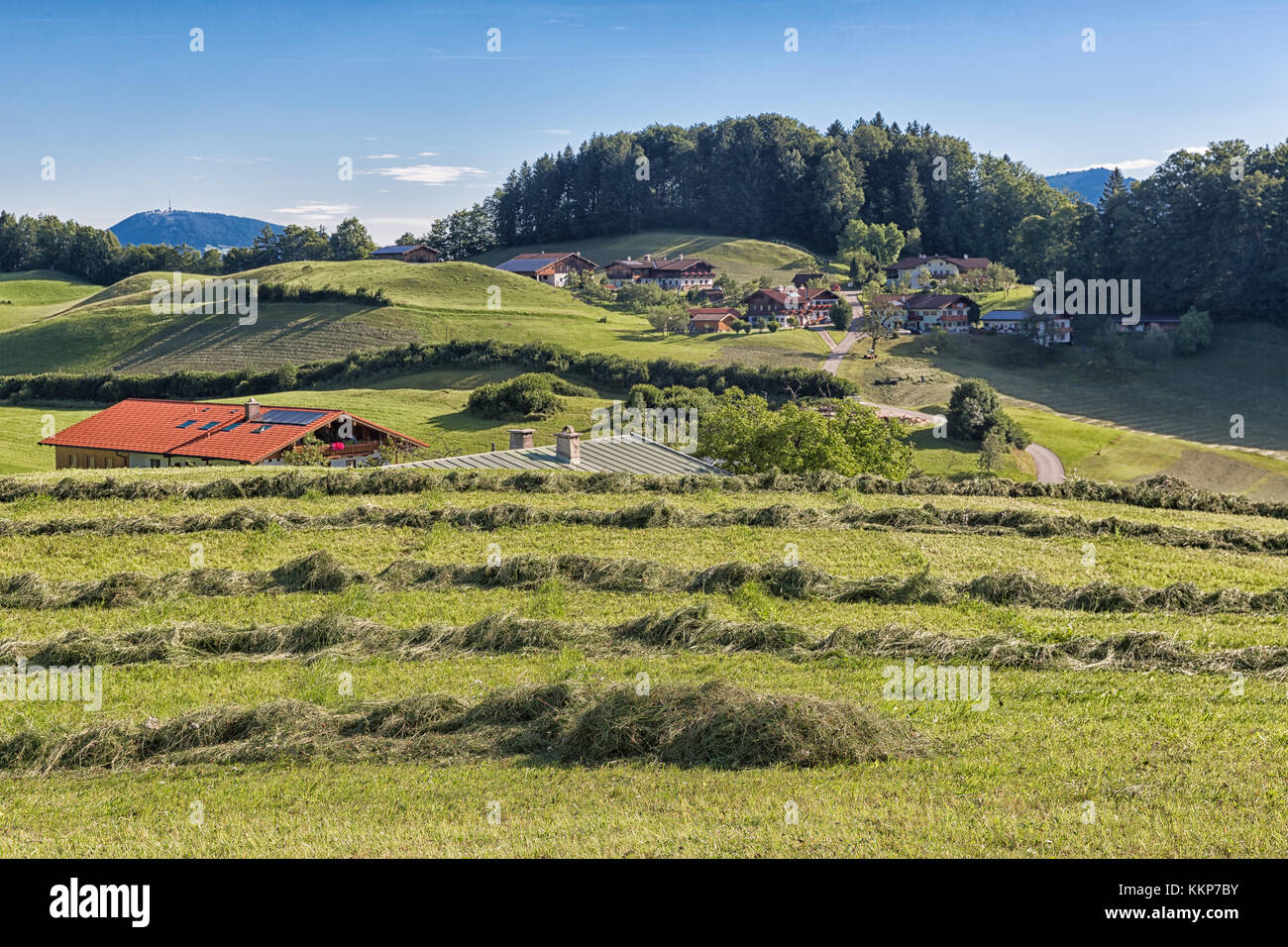 Alp an der baumgrenze Fotos und Bildmaterial in hoher Auflösung Alamy