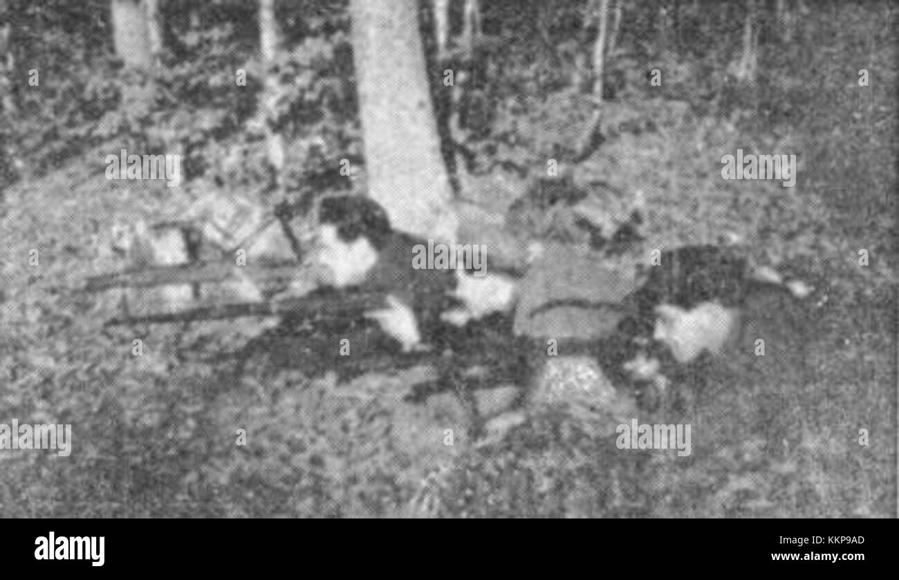 "Partizani na Dobrowljah" bezieht sich auf ein historisches Ereignis, an dem die Partisanenbewegung in Dobrovje (Slowenien) beteiligt ist und deren Rolle während des Zweiten Weltkriegs gedenkt Stockfoto