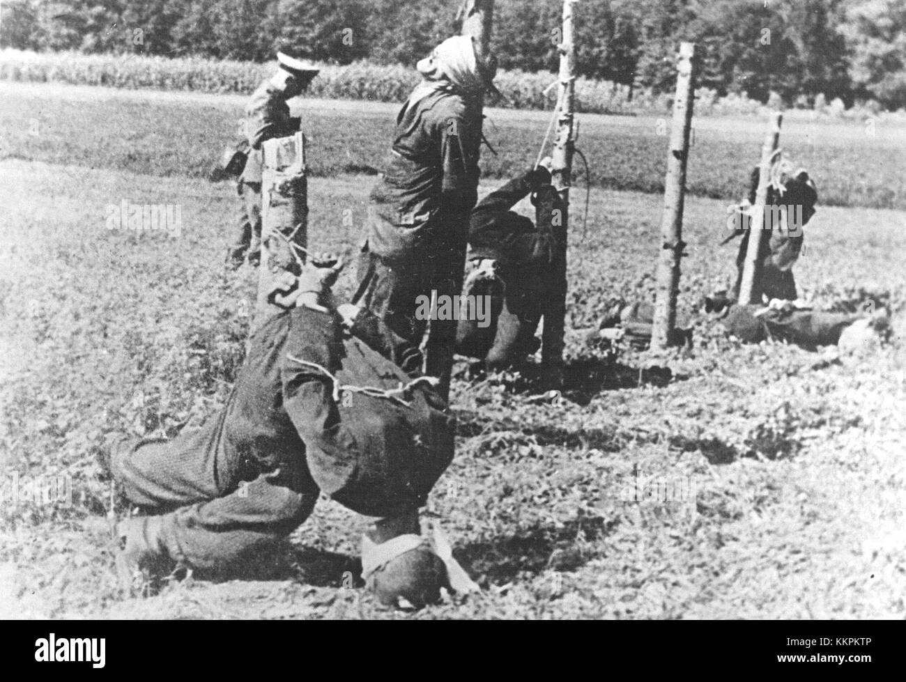 Das Bild zeigt hingerichtete Gefangene aus Begunj, Slowenien. Das Foto dokumentiert ein tragisches historisches Ereignis, das die kriegerischen Kämpfe in der Region während des 20. Jahrhunderts widerspiegelt. Stockfoto