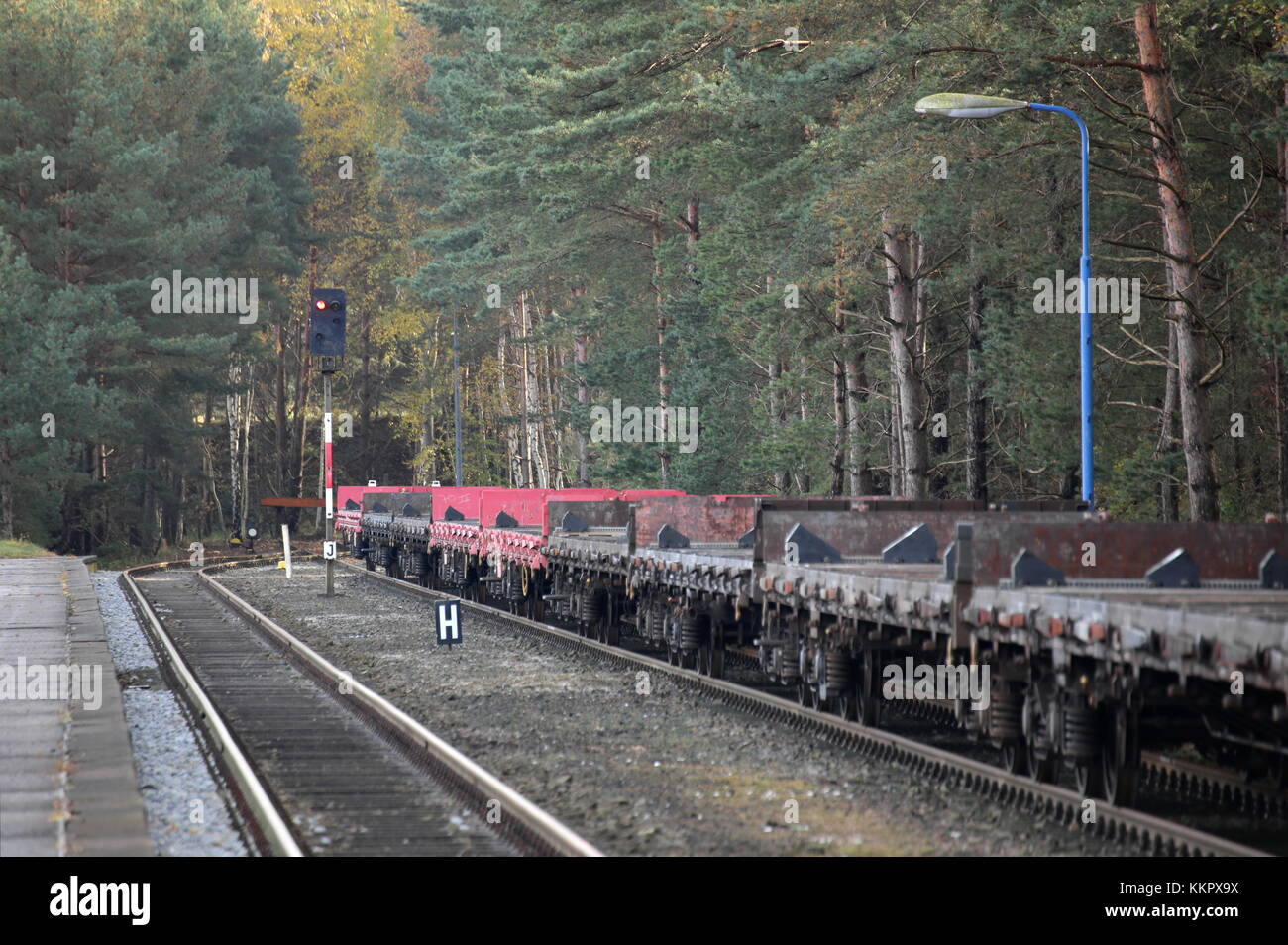 Reihe von leeren Güterwagen auf einer Station im Wald. Stockfoto