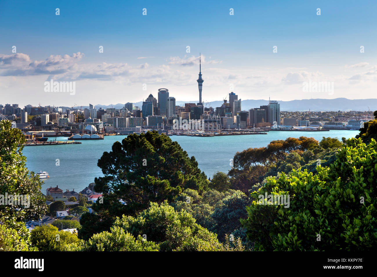 Blick auf Auckland Skyline vom Mount Victoria in Devonport, Auckland, Neuseeland Stockfoto