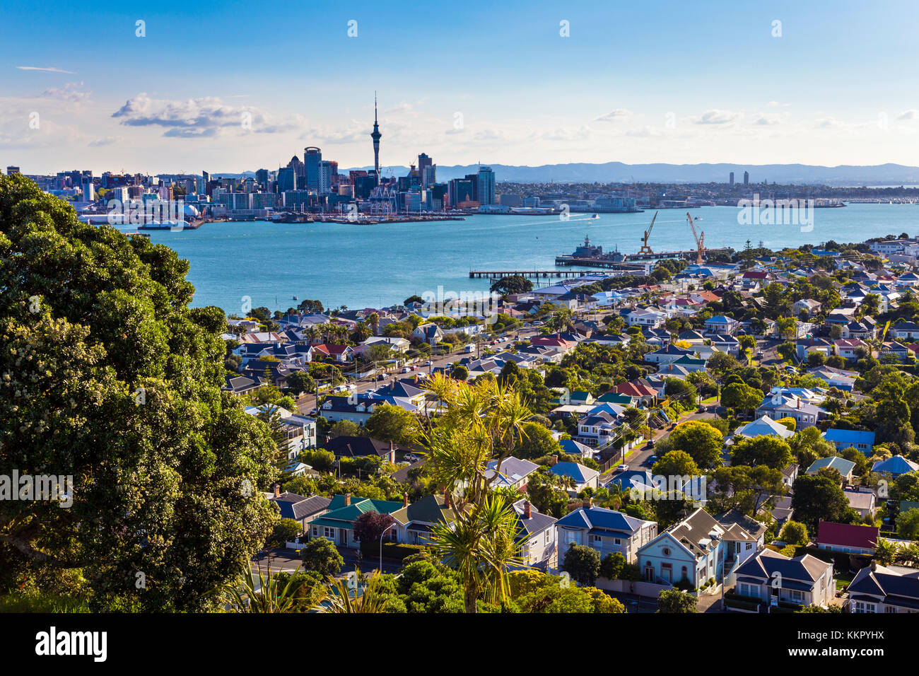 Blick auf Auckland Skyline vom Mount Victoria in Devonport, Auckland, Neuseeland Stockfoto