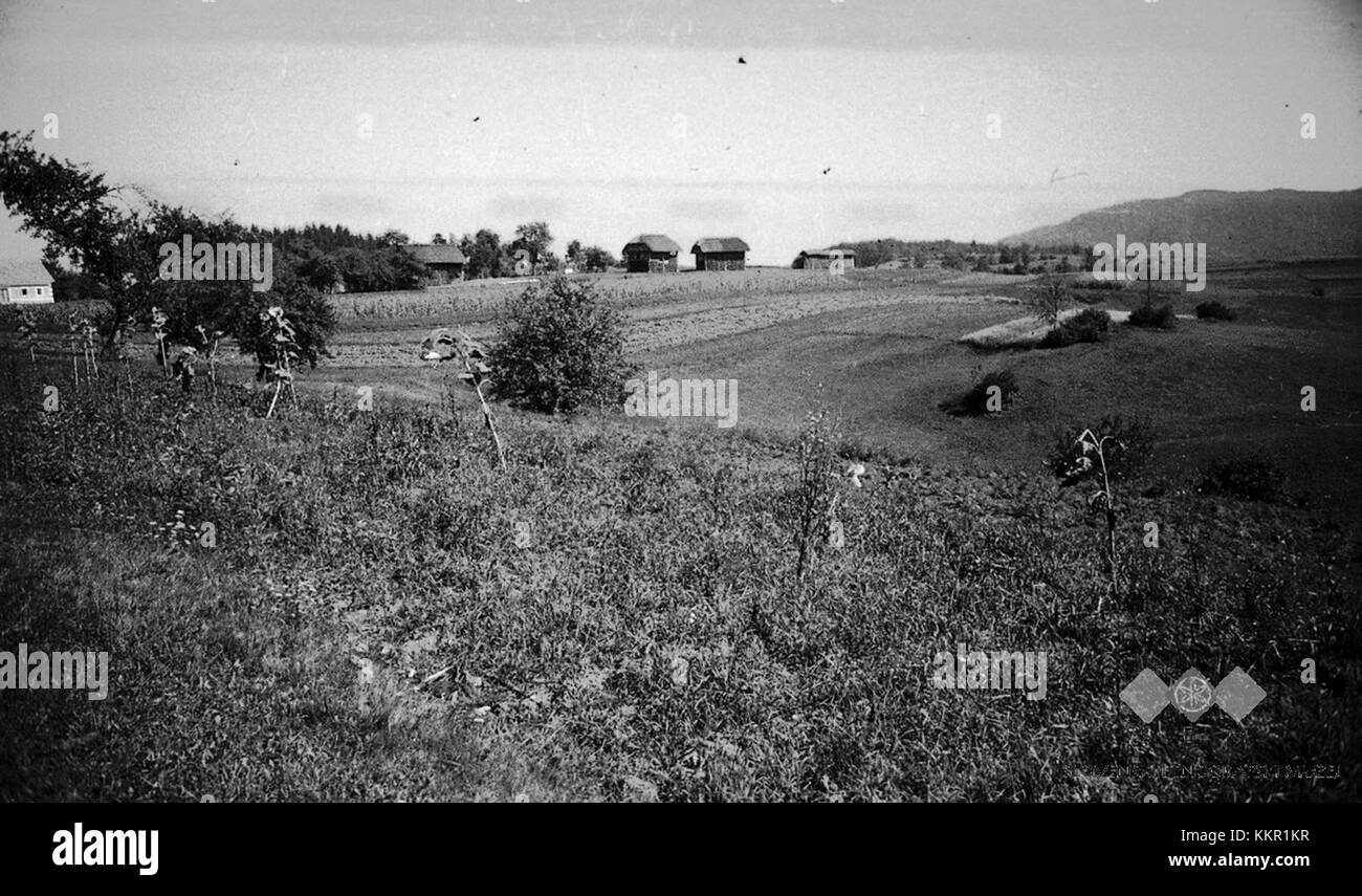 Kozolci ist ein Ort außerhalb des Ortes Velike Lipljene in Slowenien, der 1948 urkundlich erwähnt wurde. Es ist ein ländliches Gebiet, das für seine historische und kulturelle Bedeutung innerhalb der Region bekannt ist. Stockfoto